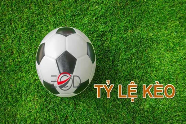 Theo dõi tỷ lệ ăn kèo trả thưởng từ nhà cái