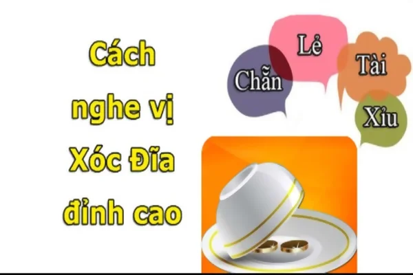Tìm hiểu thông tin về vị xóc đĩa là gì?