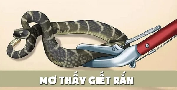 Chiêm bao thấy giết rắn có ý nghĩa gì?
