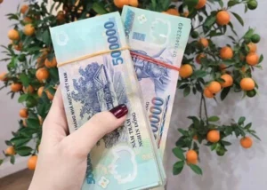Chiêm bao thấy tiền 500 có nhiều ý nghĩa riêng biệt