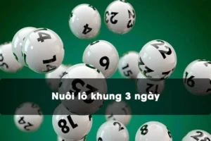 Cách khung nuôi lô thường được áp dụng