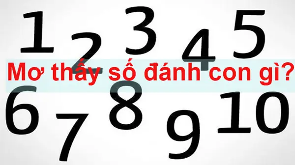 Mơ thấy số 17 đánh con gì là dễ ăn nhất