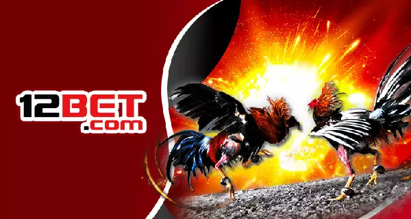 Nhà cái đá gà online 12BET thân thiện với người chơi